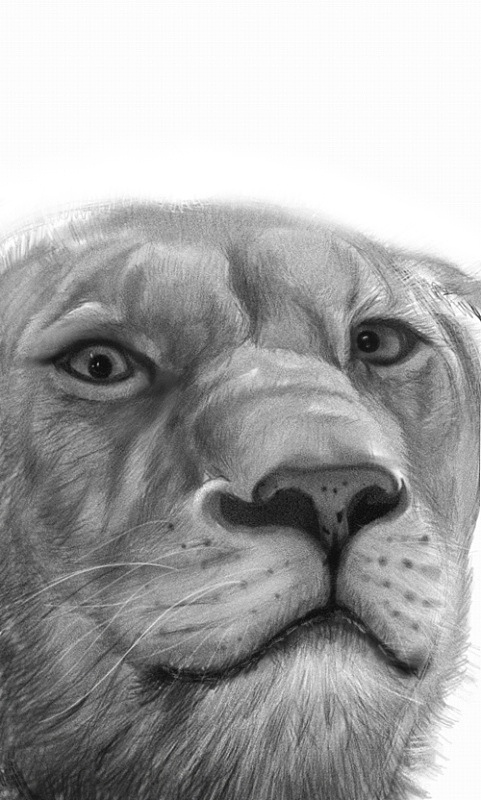 眼睛是不是小了?小了小了小了……