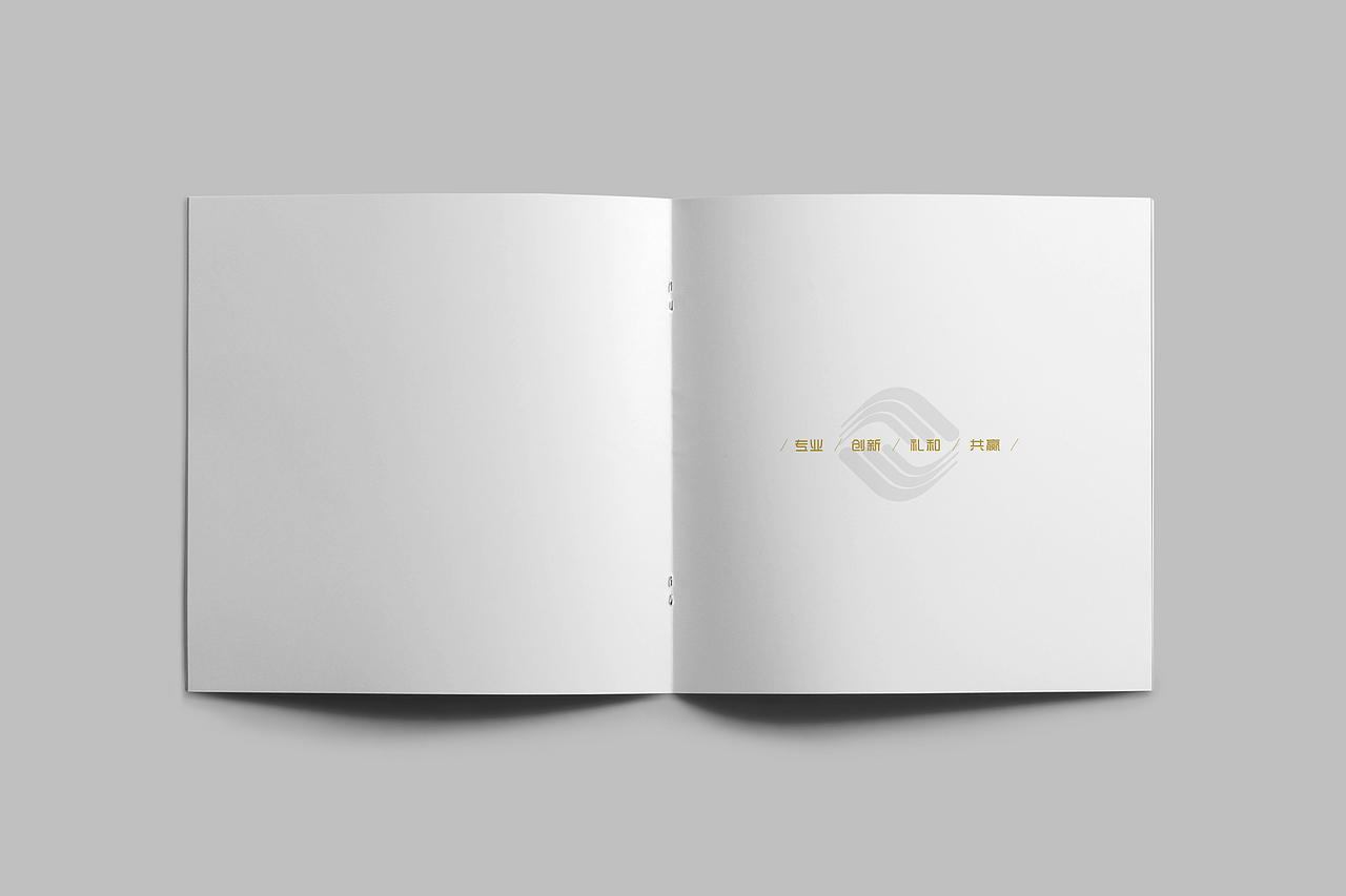 投资公司宣传画册设计