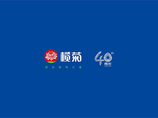 榄菊品牌升级-logo ＆VI