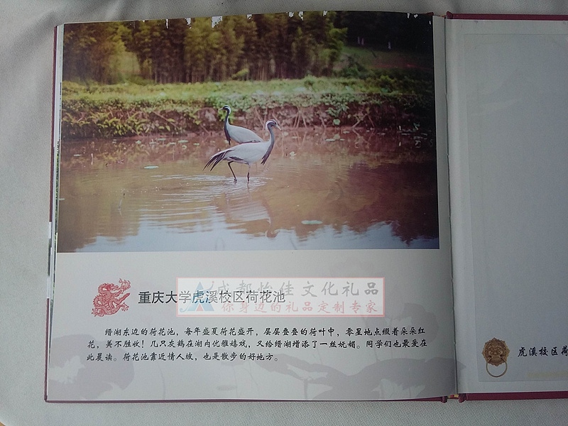重庆大学校园风景剪纸欣赏毕业剪纸纪念册制作（图ZNDY4MDcyMjQ=） - 其他手工艺 - 站酷设计师成都怡佳文化原创素材 - 站酷ZCOOL