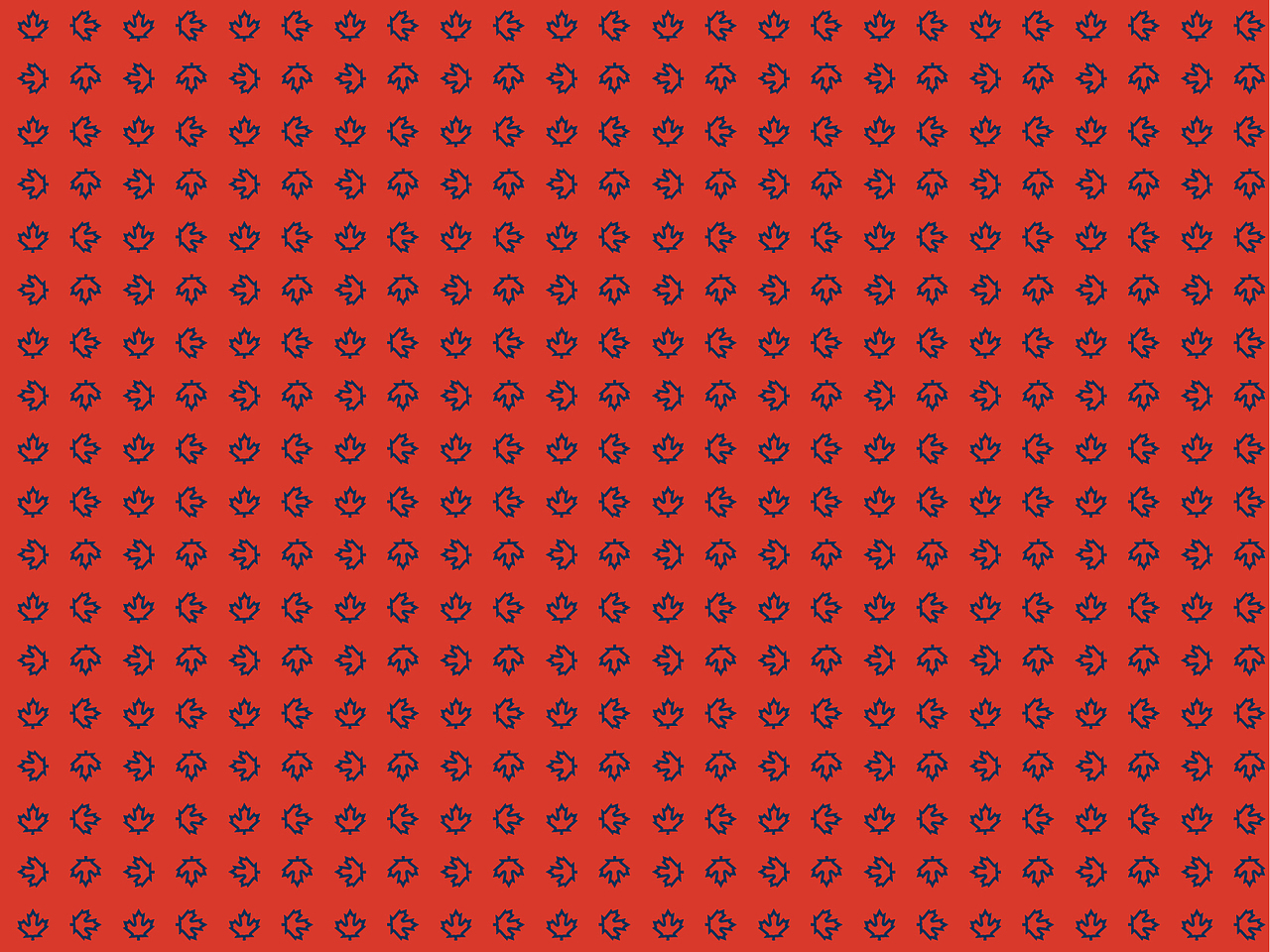 温哥华森林项目VI推导及应用-1(LOGO不是我做的)