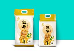 关于大米的