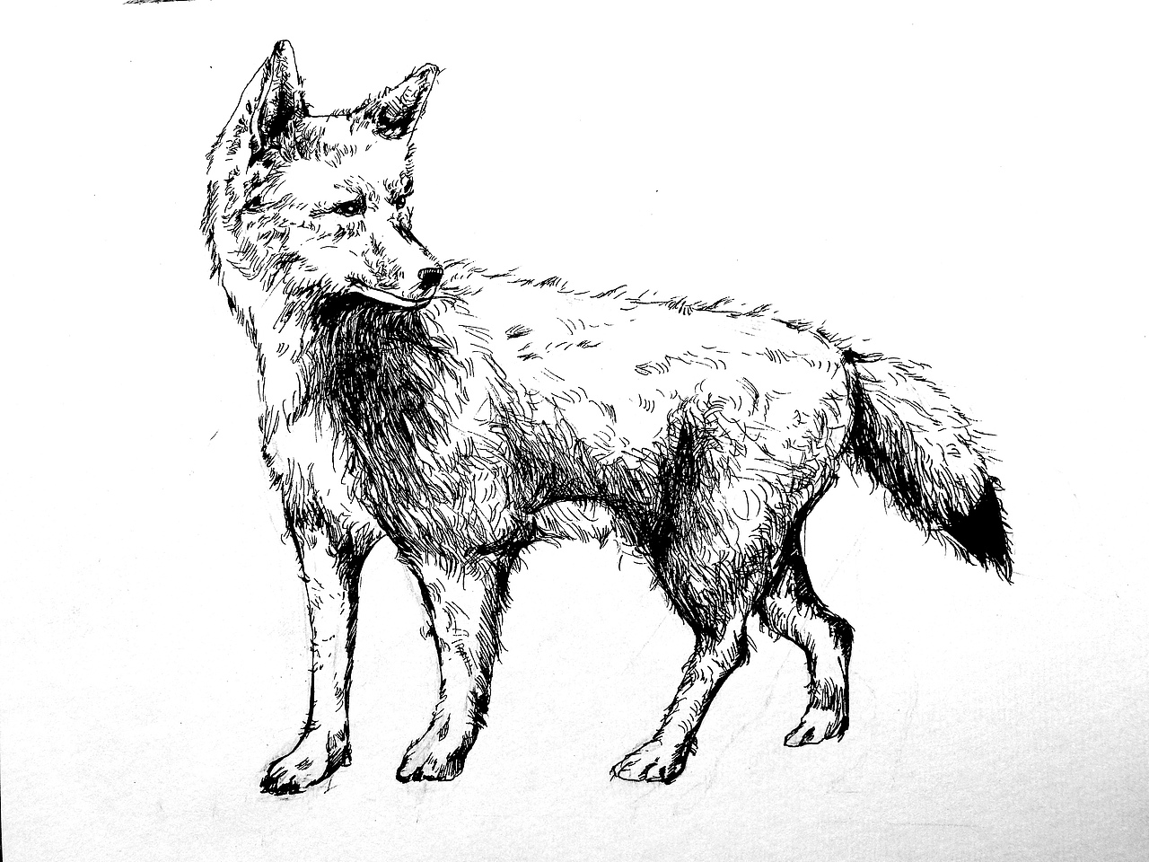 装饰基础课程（图ZNDk3NDI3MDA=） - 图案 - 站酷设计师颜鸿玲原创素材 - 站酷ZCOOL