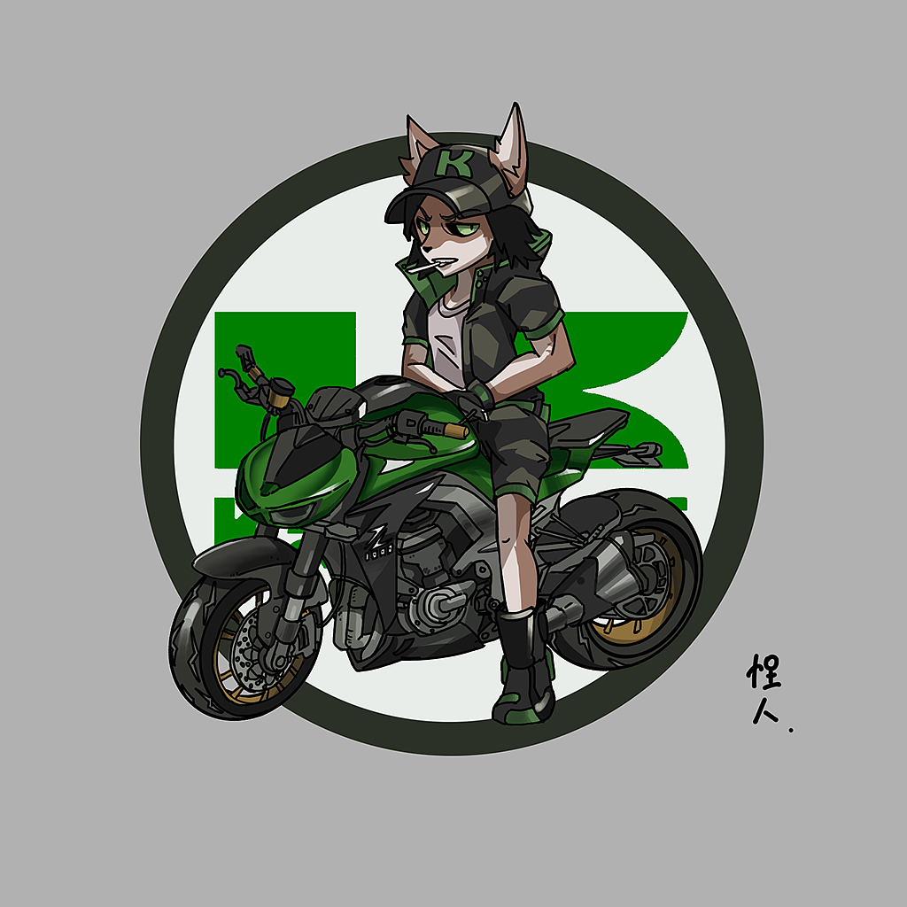 川崎kawasaki--z1000