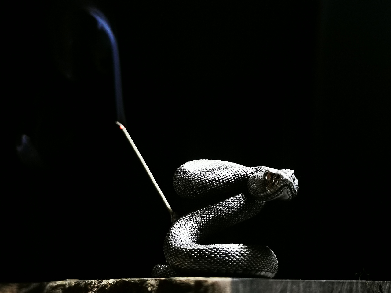 响尾蛇“不一样的香插”