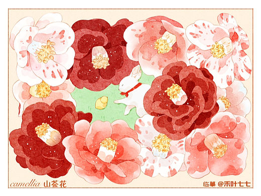 水彩/山茶花