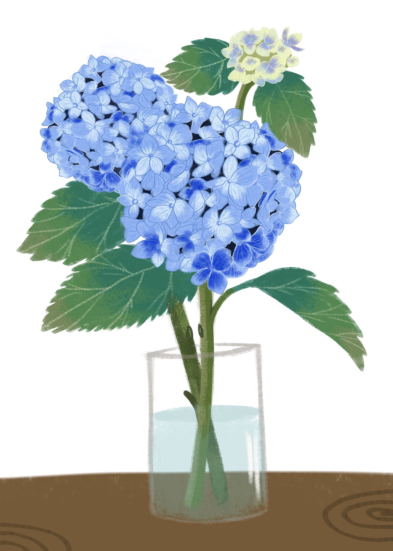 绣球花|插画|商业插画|锦苏jinsu - 原创作品 - 站酷 (zcool)