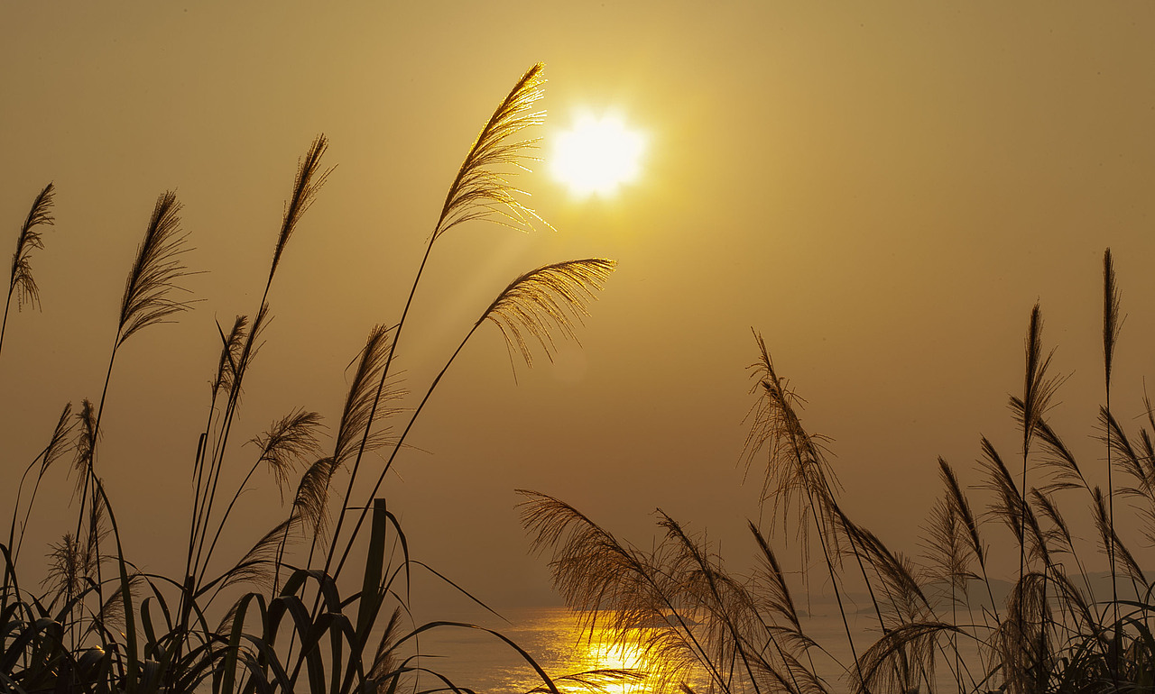 自然风光,东极岛,海景,灯塔,夕阳,荧光海