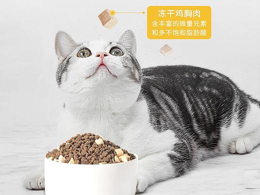 宠物食品详情狗粮猫粮冻干粮详情页
