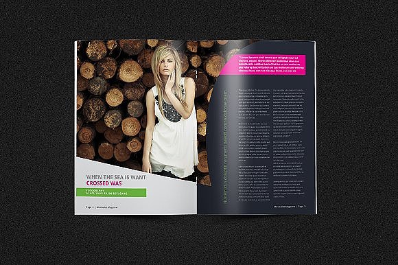 高端大气企业杂志画册模板