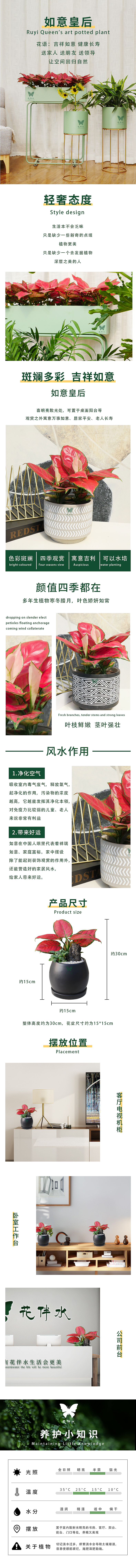 绿植如意皇后详情页（图ZMTg3OTk5ODUy） - 其他 - 站酷设计师Qey力立原创素材 - 站酷ZCOOL