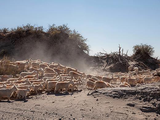 西北自驾部分留存