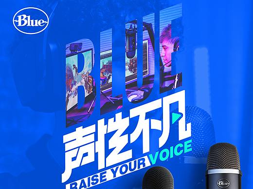 BLUE项目总结