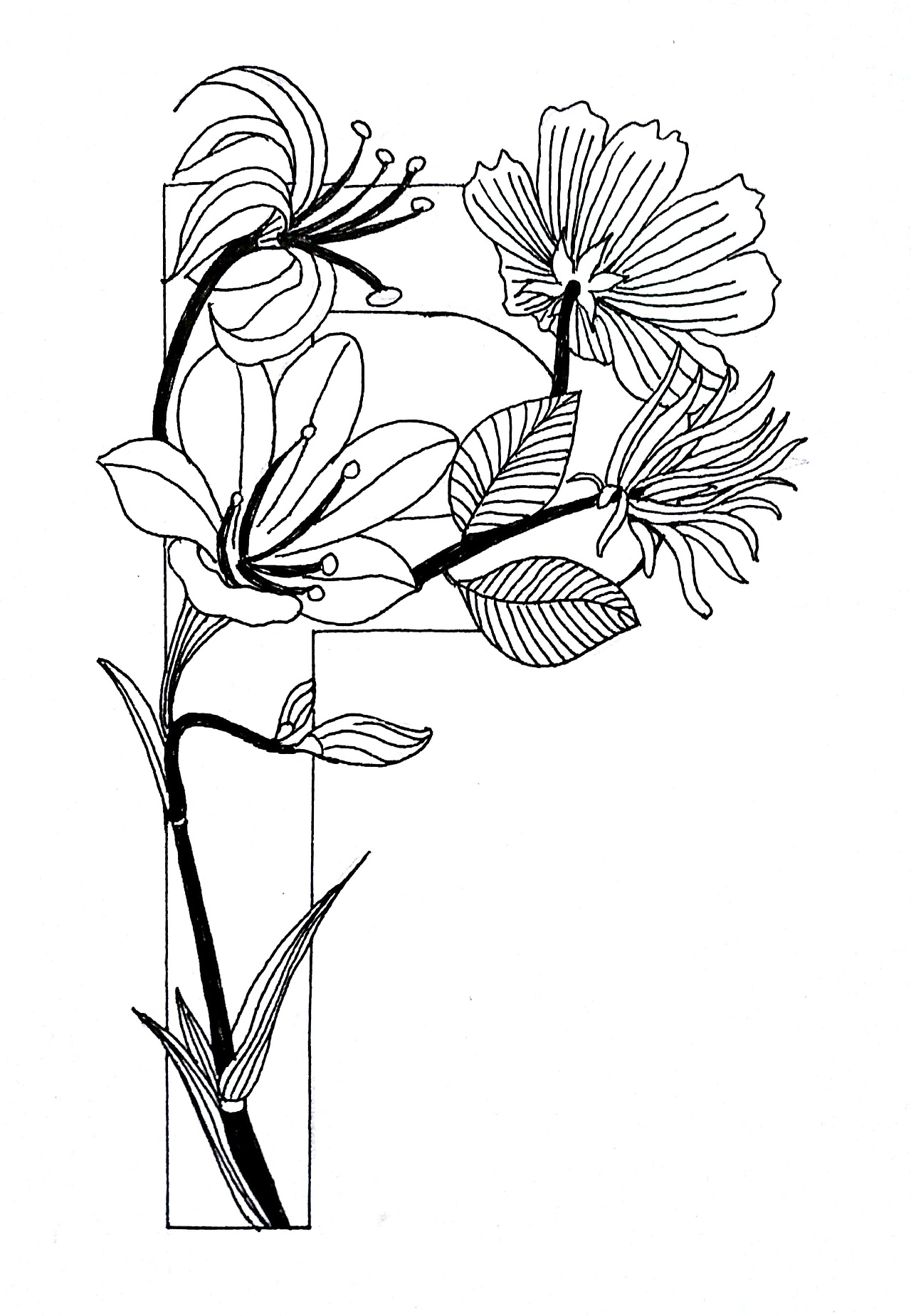 系列字母花卉插画（图ZMTQxMDk1OTQw） - 绘本 - 站酷设计师麟松原创素材 - 站酷ZCOOL