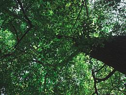 摄影