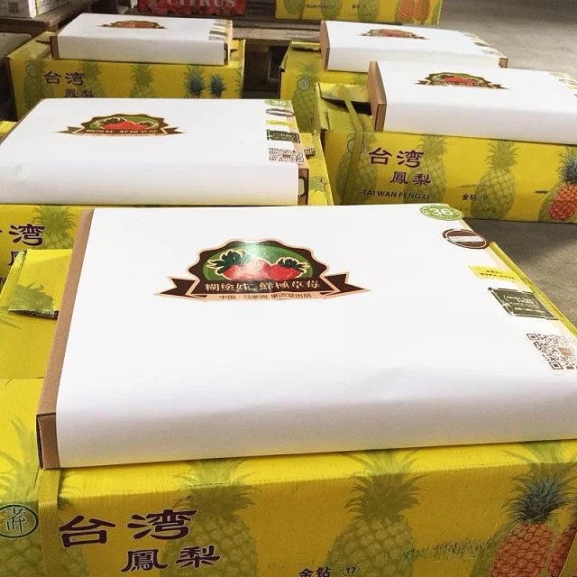 水果-透过鲜果，品味这个世界（图ZNDg5OTQxNzY=） - 宣传物料 - 站酷设计师等待中的行走原创素材 - 站酷ZCOOL