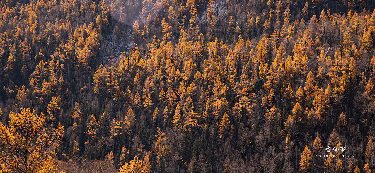 喀纳斯秋色（图ZMjQ5MzUwODYw） - 风光摄影 - 站酷设计师dobyliang原创素材 - 站酷ZCOOL