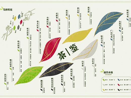 中国茶信息可视化设计