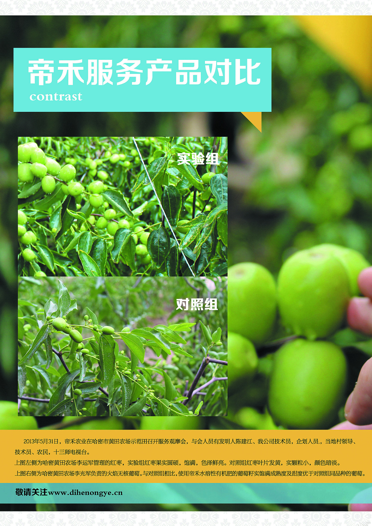 帝禾农业水溶性有机肥画册 DM（图ZMTE0NDU4NTY=） - 书籍/画册 - 站酷设计师billiejean原创素材 - 站酷ZCOOL