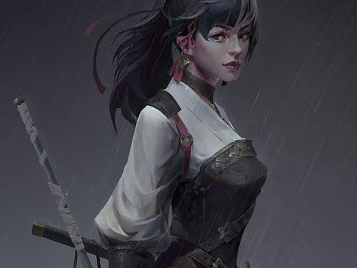 姬武士