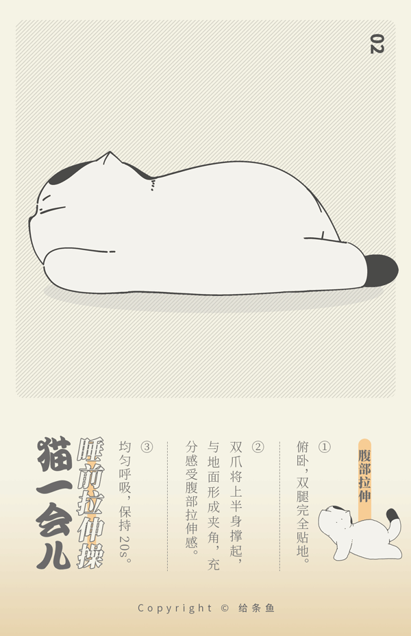 【猫一会儿】睡前健身操