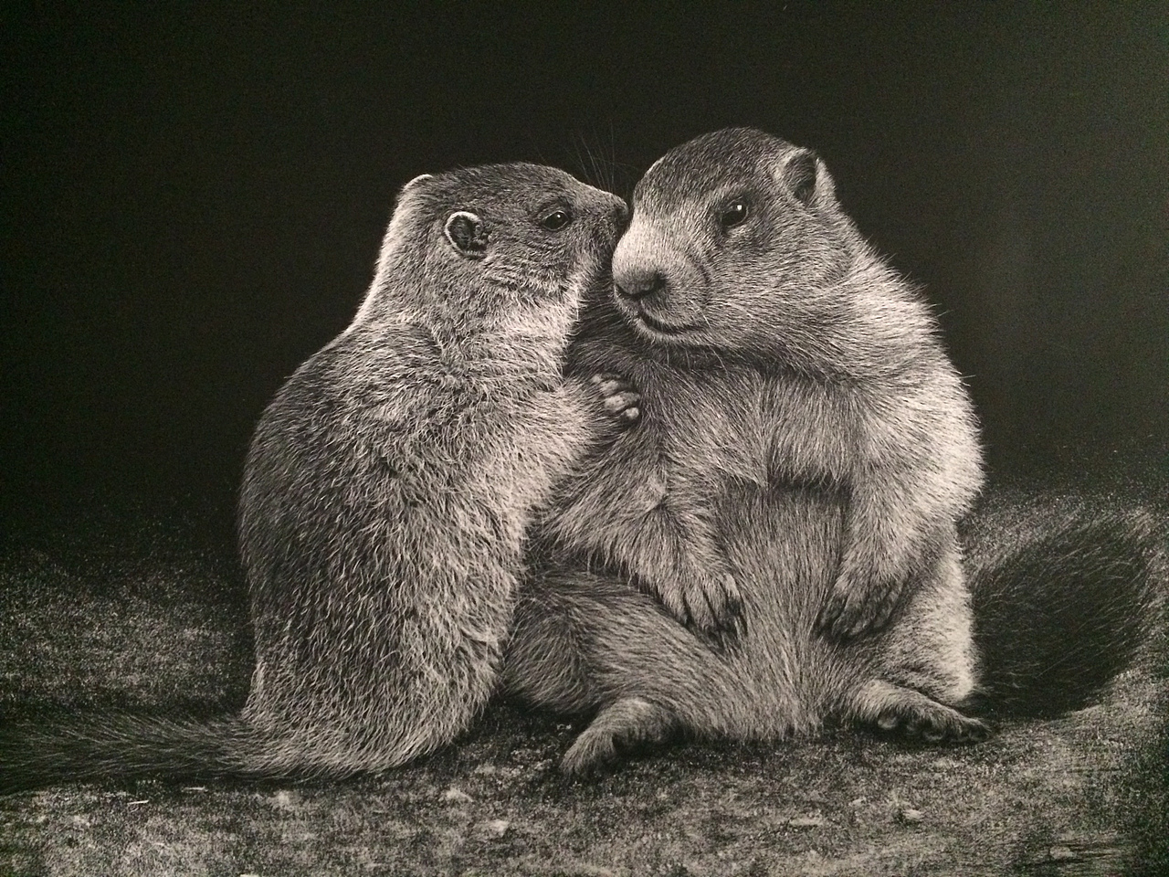 李子哥刮画作品《悄悄话》