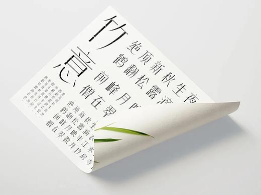 第二十一届白金创意国际大赛获奖作品选登—字体设计