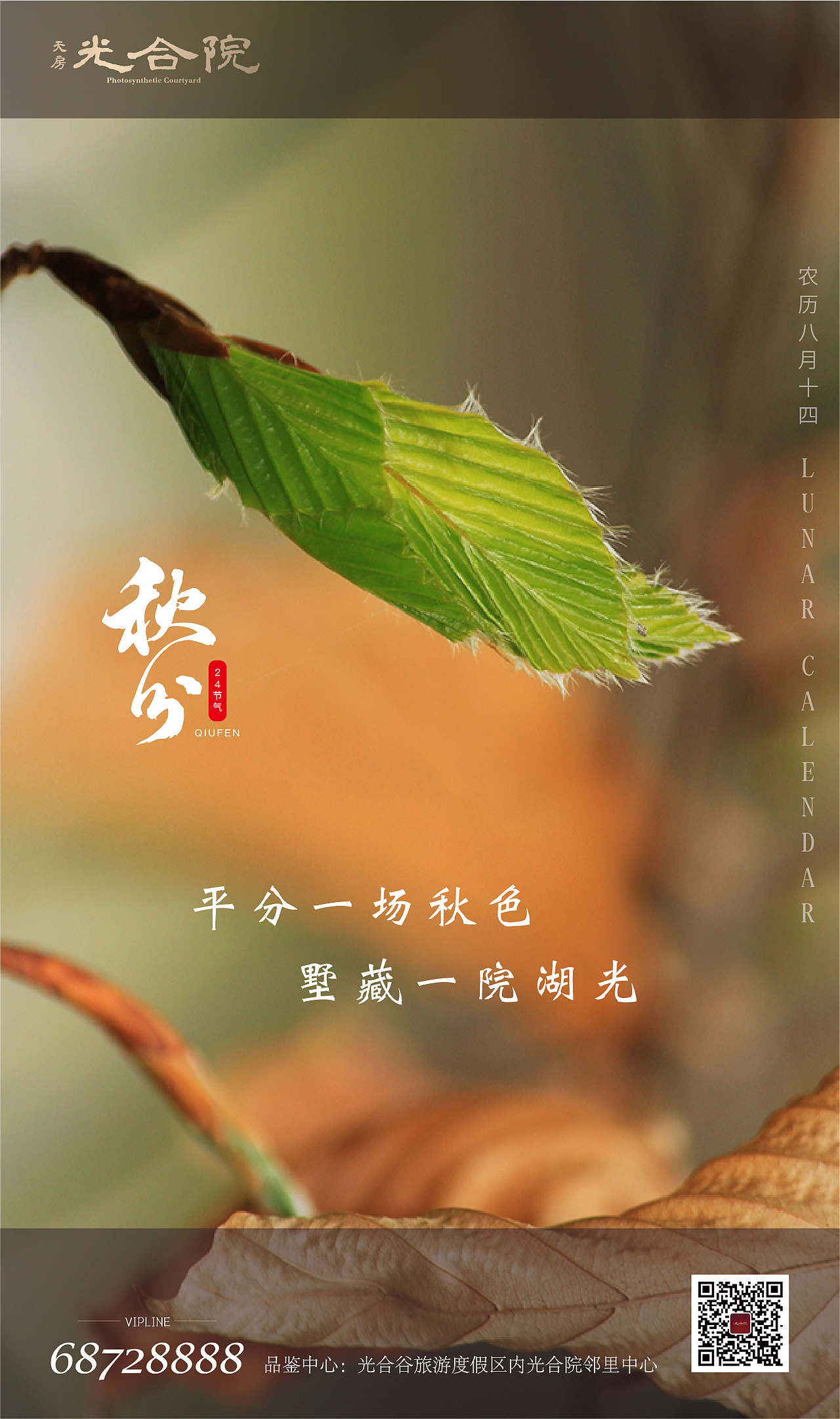 24节气（图ZMTMyNDIzOTEy） - 海报 - 站酷设计师小明3116原创素材 - 站酷ZCOOL