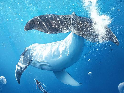 畅游（个人主页-ZNDQzMDU2ODQ=） - 创作习作 - 站酷设计师陆璃原创素材 - 站酷ZCOOL