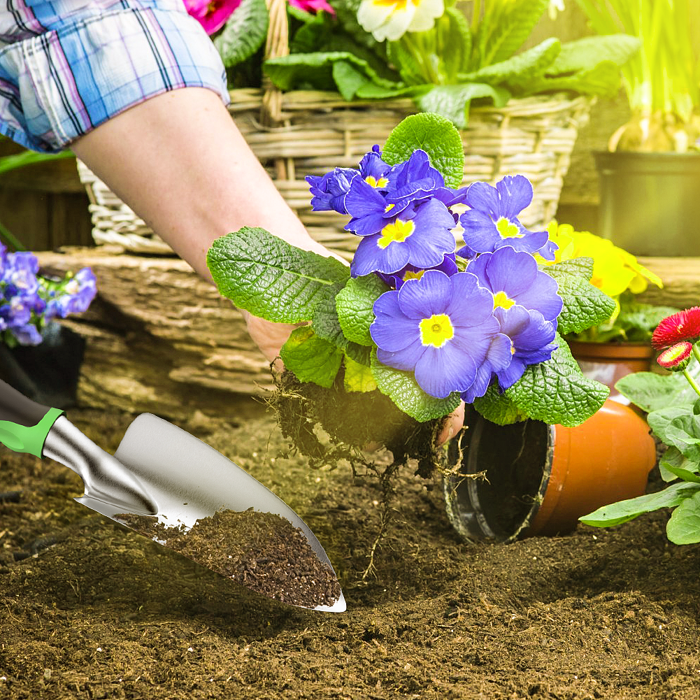 亚马逊套图 - 园艺套装