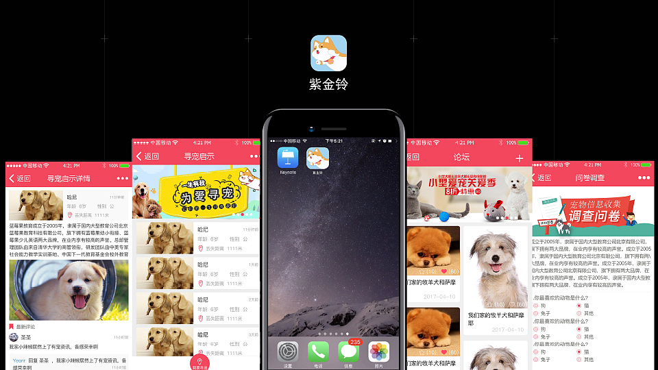 紫金铃宠物app（图ZMTMxMTUxNDQ4） - APP界面 - 站酷设计师请叫我圣圣原创素材 - 站酷ZCOOL