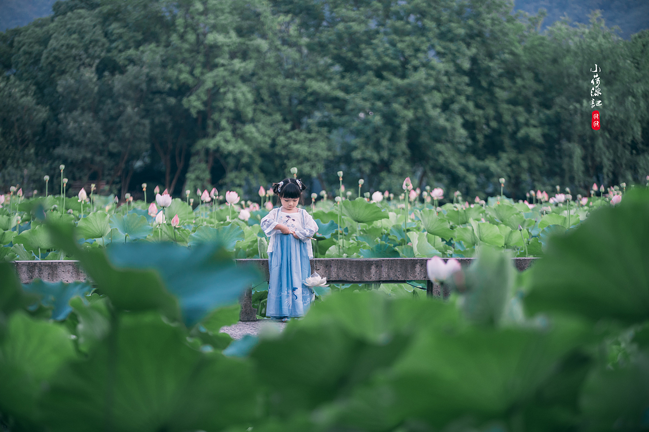 小荷源记（图ZMTY4NTM5NzQ0） - 人像摄影 - 站酷设计师一只小心晨原创素材 - 站酷ZCOOL