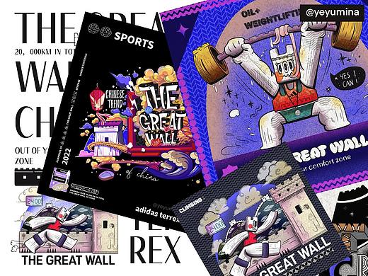 【长城】 X 【adidasTERREX】IP图案设计