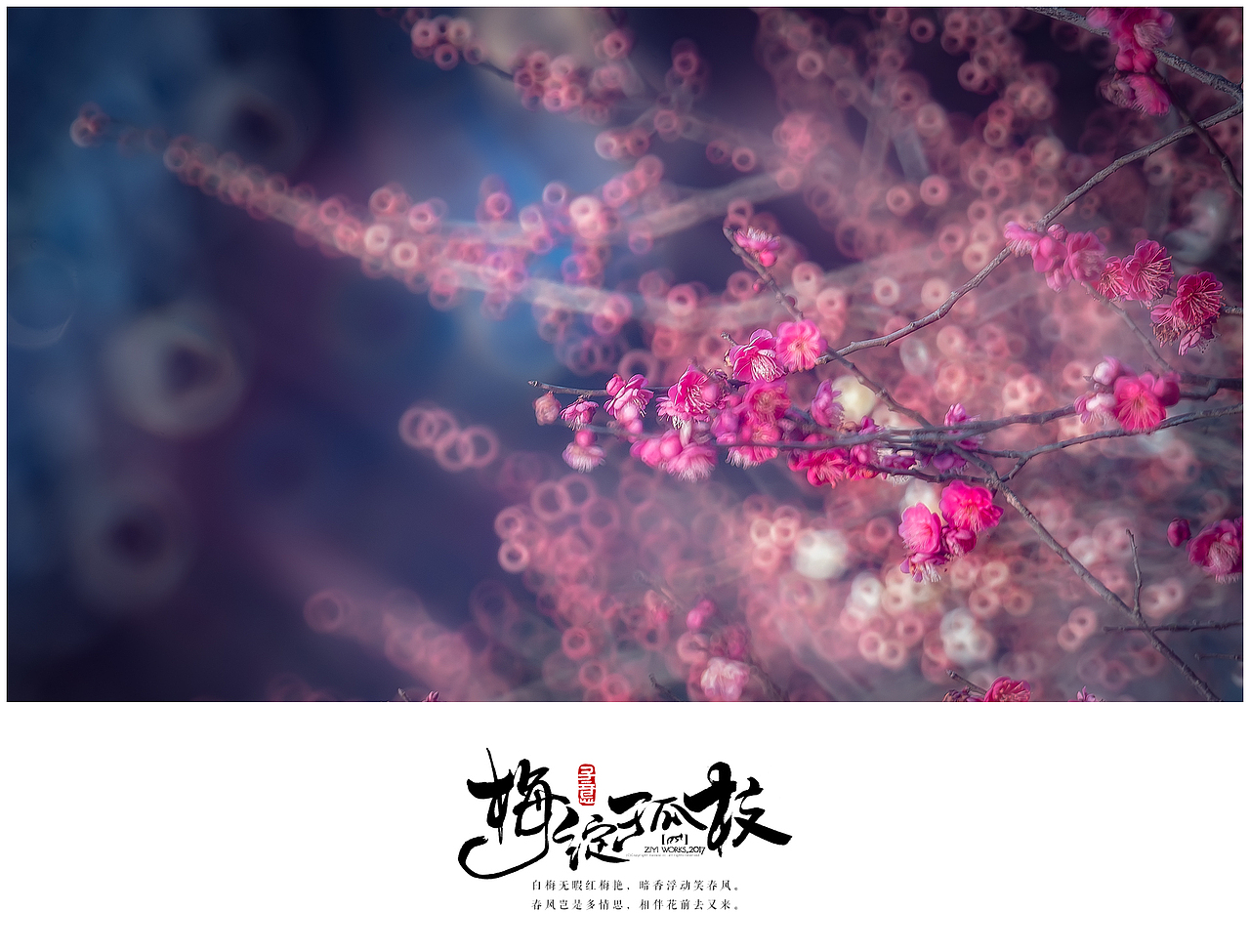 《梅绽孤枝》（图ZNzEwNjI5OTY=） - 风光摄影 - 站酷设计师摄影师子意原创素材 - 站酷ZCOOL