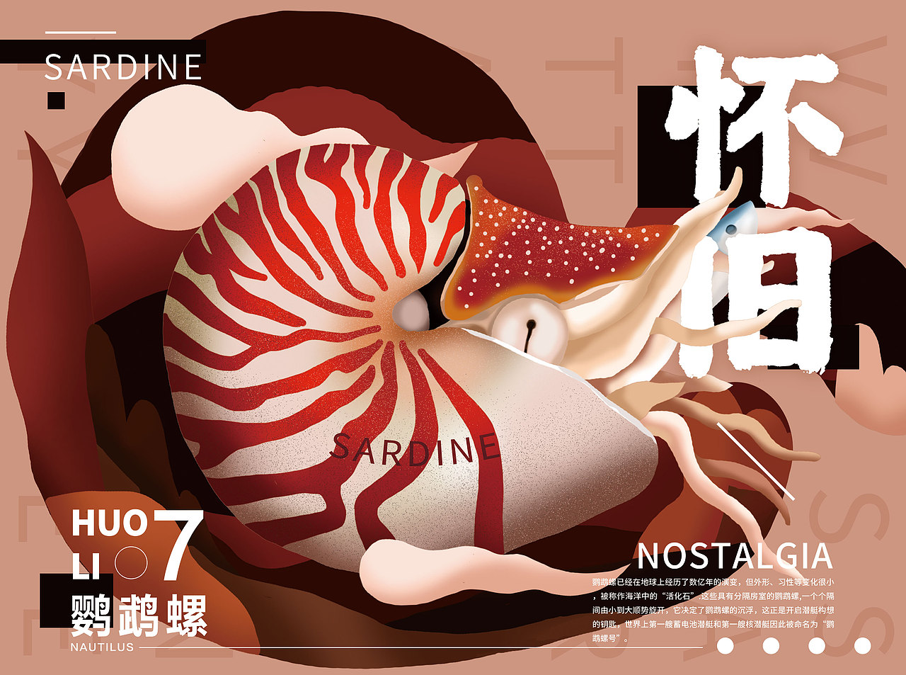 海洋动物插画海报