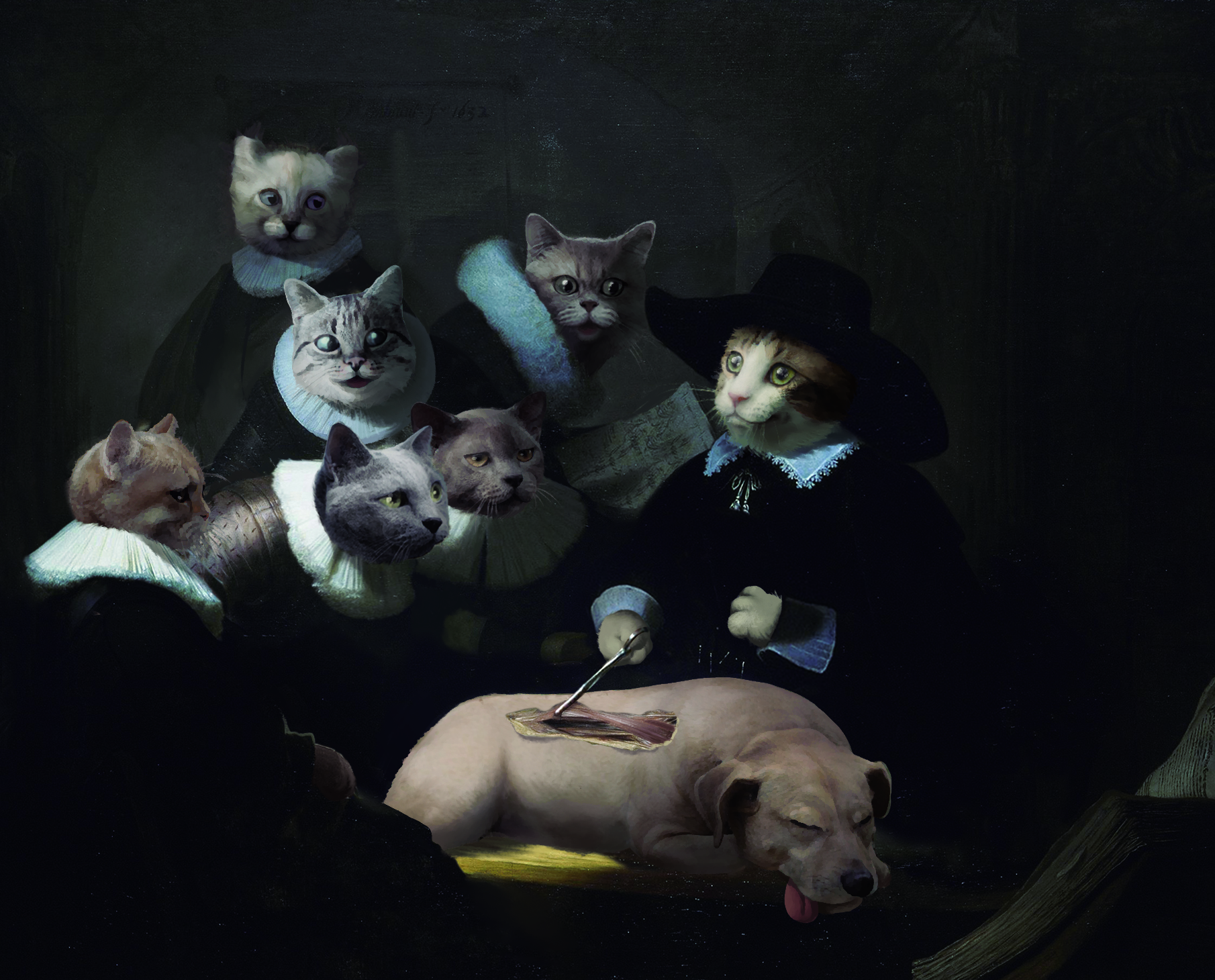 林野9的個人主頁（封面預覽） - 主頁封面設(shè)置 - 站酷設(shè)計師林野9原創(chuàng)素材 - 站酷ZCOOL