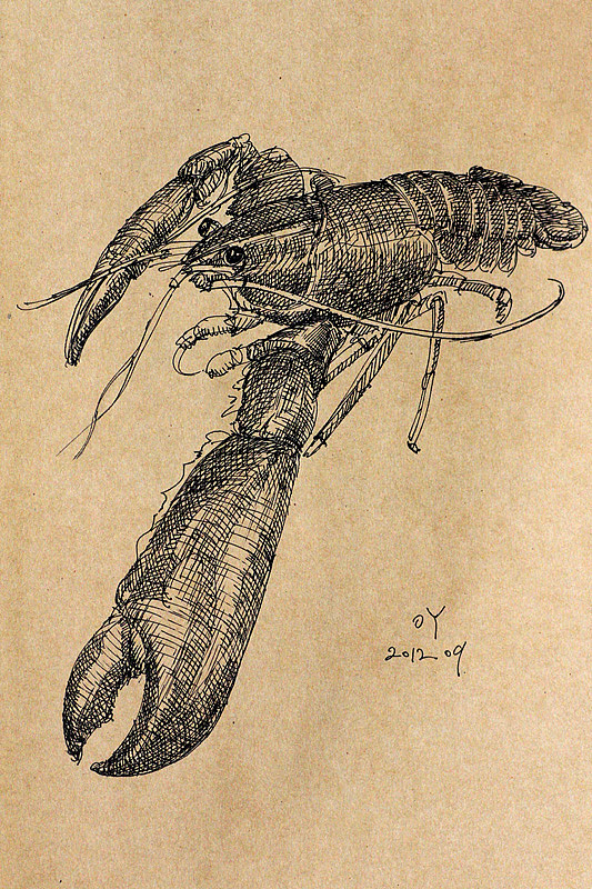 OY励志手绘:一天十画(图ZNzAwMTMyNA==) - 商业插画 - 站酷设计师欧阳鹏杰_OY原创素材 - 站酷ZCOOL
