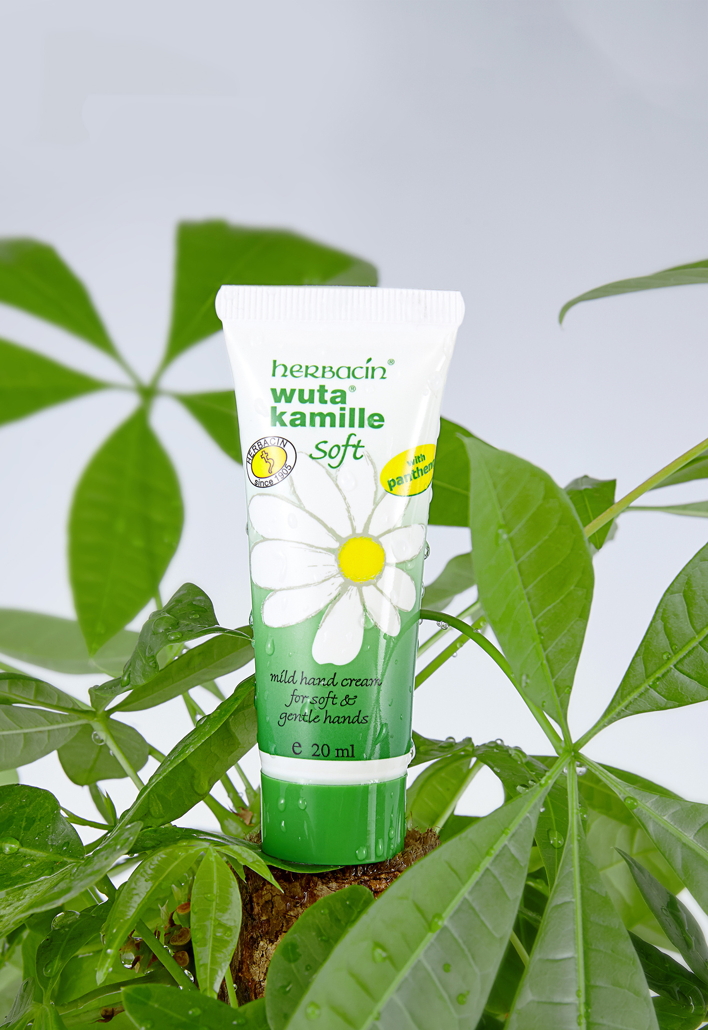 万物生长:德国小甘菊护手霜创意拍摄