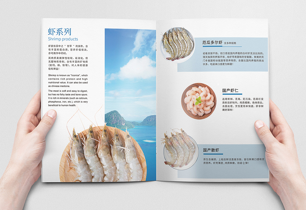 海鲜画册