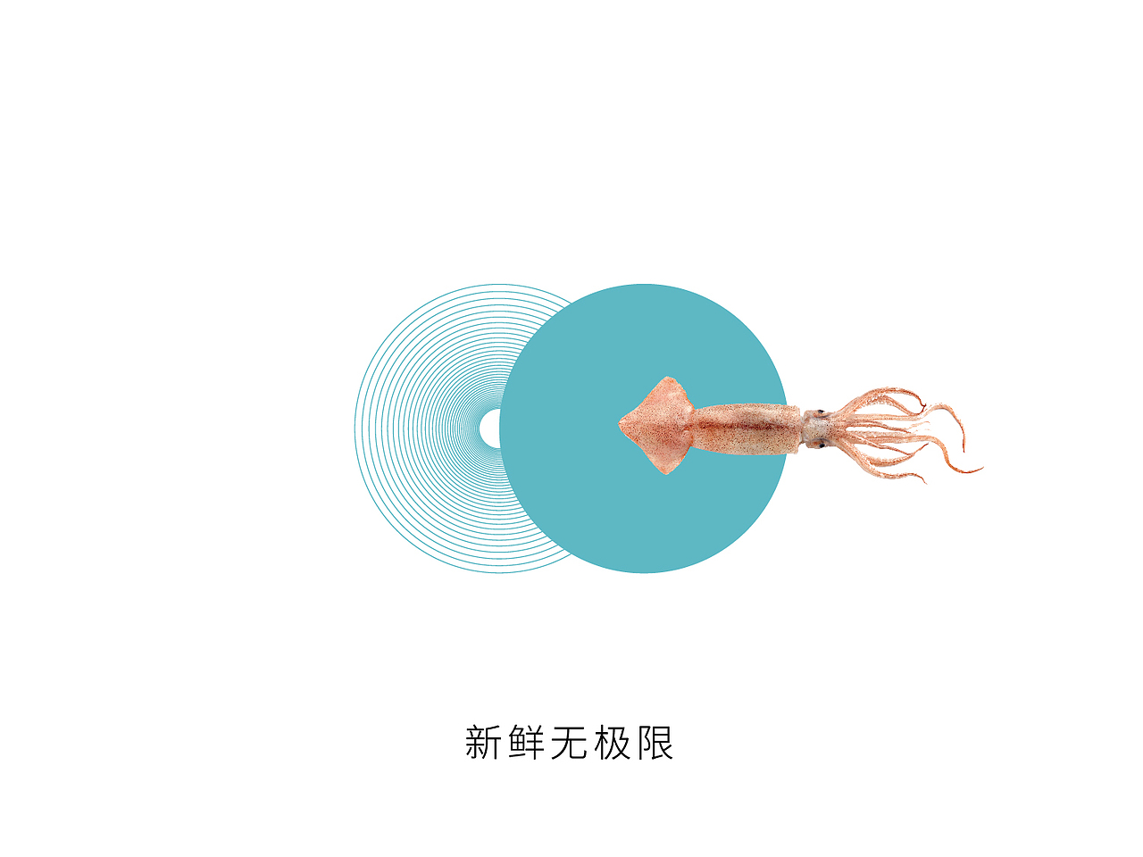 极味生鲜品牌视觉设计(图ZMTU5MDg2NDg4) - 品牌 - 站酷设计师你好高兴原创素材 - 站酷ZCOOL