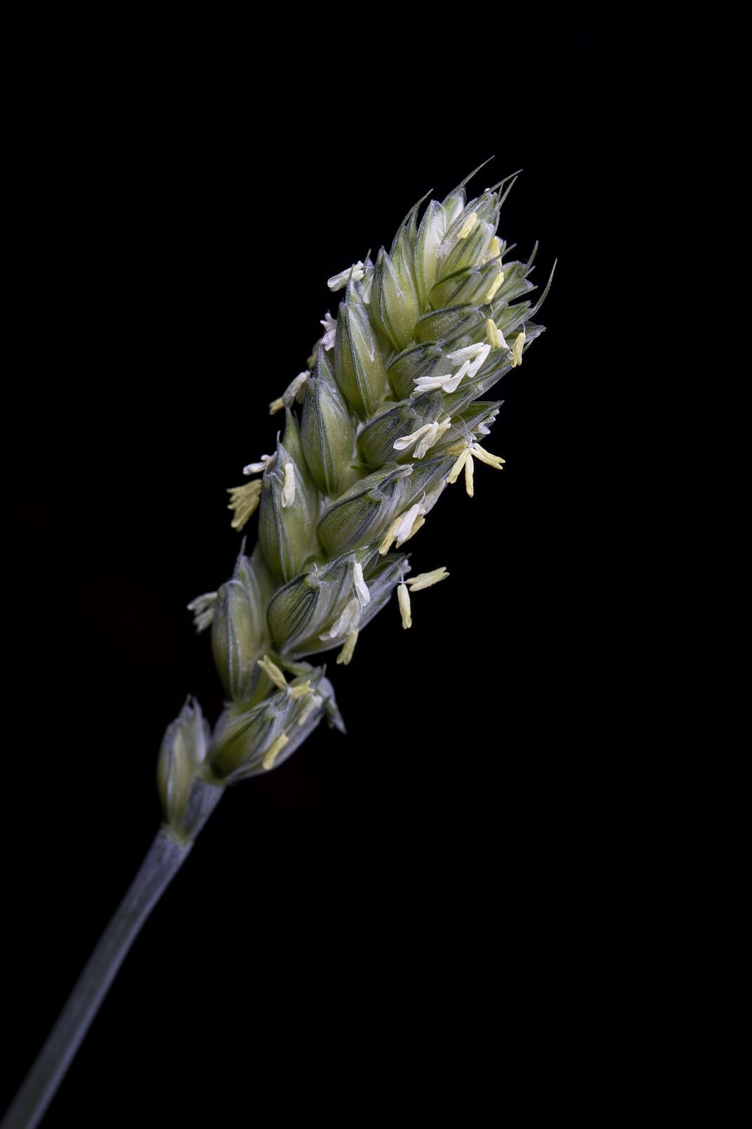 春天到了，又到了万物复苏的季节。