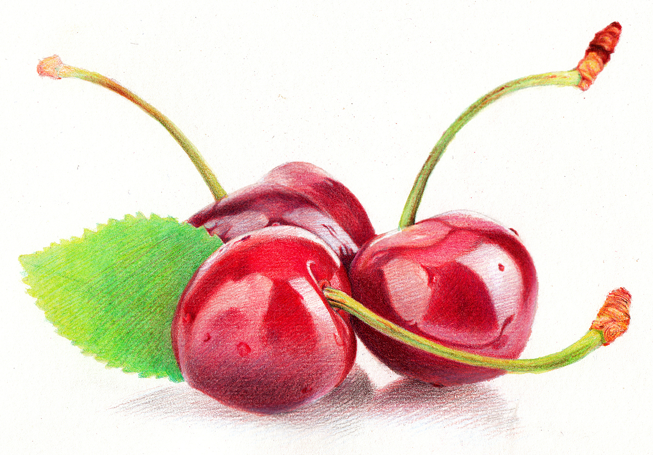 2012~2013彩铅画磨笔小品汇总