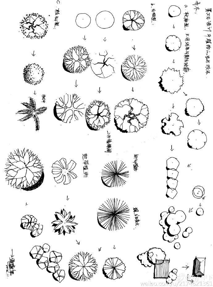 景观园林手绘草图