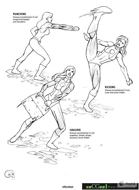 人体结构1（图ZMTkyNTQzNTI0） - 创作习作 - 站酷设计师御猫神原创素材 - 站酷ZCOOL