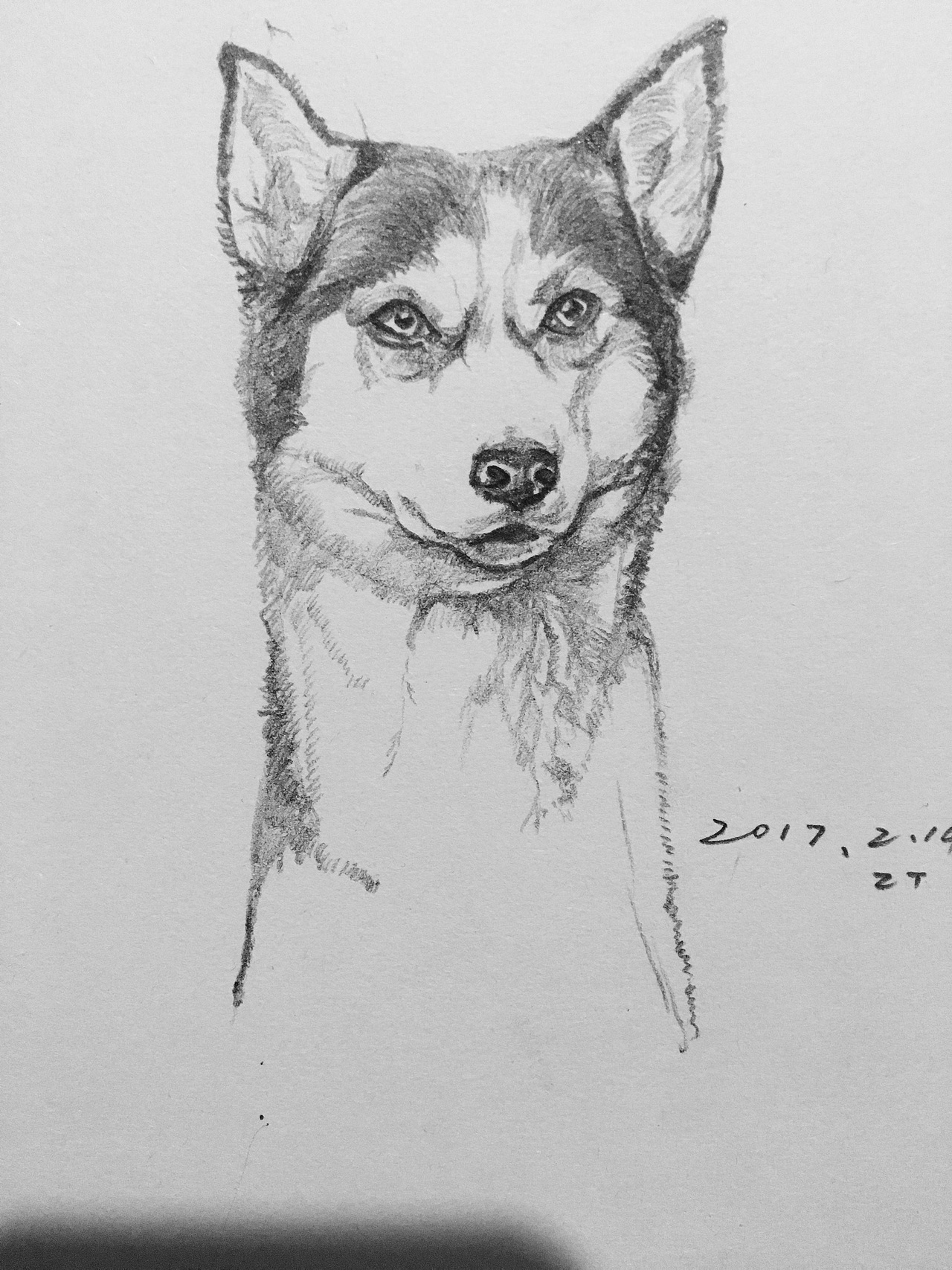 小习作（图ZMTQ0MDQxODM2） - 创作习作 - 站酷设计师括弧原创素材 - 站酷ZCOOL