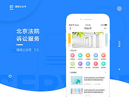 政府类app