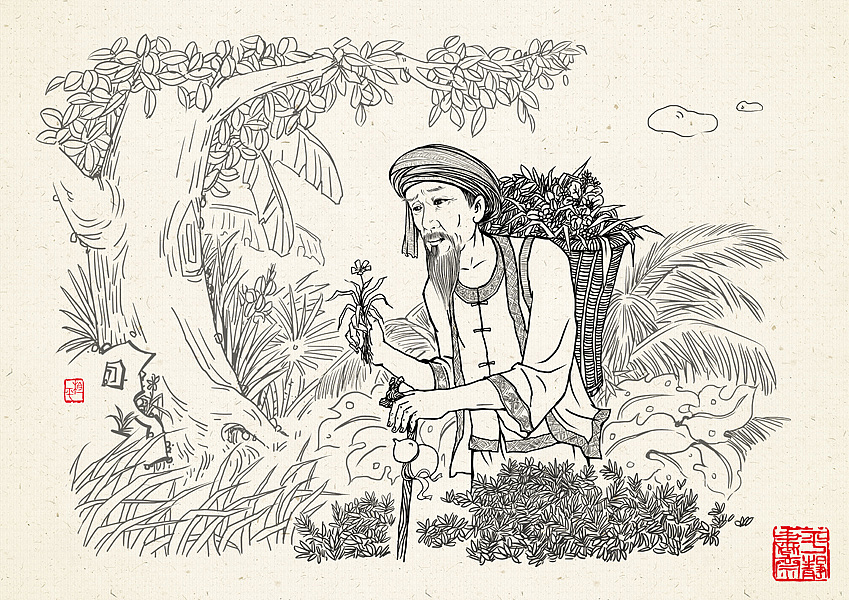 《黎家小姐姐》民族风商业插画