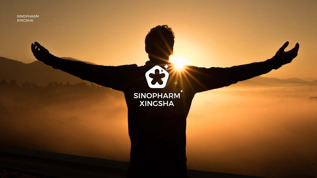 品牌升级设计｜国控星鲨品牌视觉升级（图ZMjk1NzE0ODg4） - Logo - 站酷设计师陈义文Evan原创素材 - 站酷ZCOOL