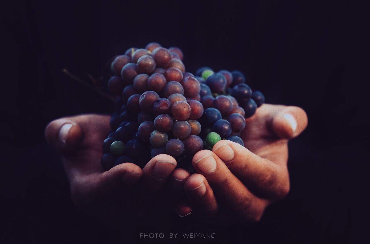 那些，关于丰收的味道（图ZNjEzMzMxODg=） - 产品摄影 - 站酷设计师未央weiwei原创素材 - 站酷ZCOOL