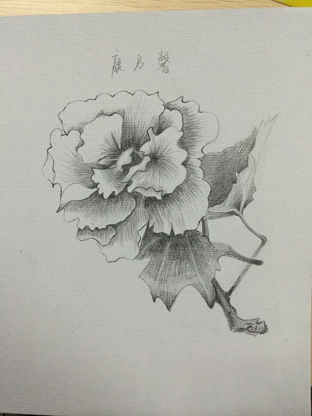 手绘（图ZNzE4NTQzODQ=） - 创作习作 - 站酷设计师zoujuan123原创素材 - 站酷ZCOOL